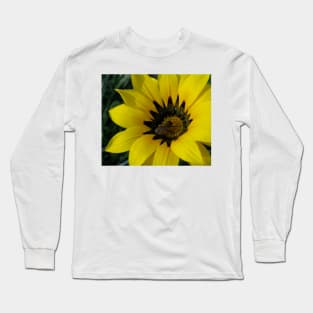 Gazania 12 - Gazania with Bee photograph Long Sleeve T-Shirt